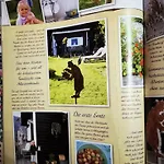 Attersee - Atemberaubende Lage - Bezauberndes Hideaway *