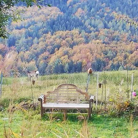Attersee - Sauna, Kamin, Seeblick Holiday home *