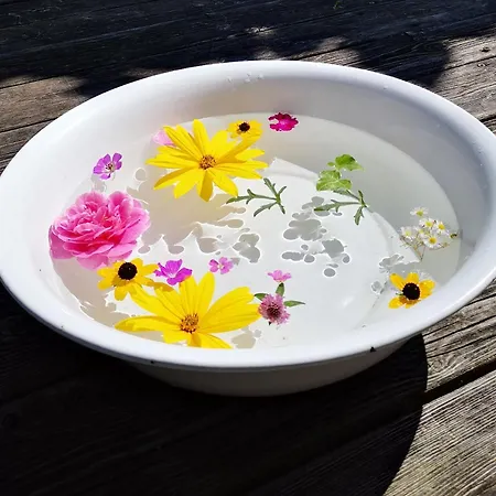 Feriehus Attersee - Atemberaubende Lage - Bezauberndes Hideaway *