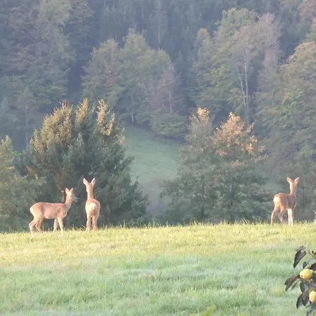 Attersee - Atemberaubende Lage - Bezauberndes Hideaway Semesterbostad *
