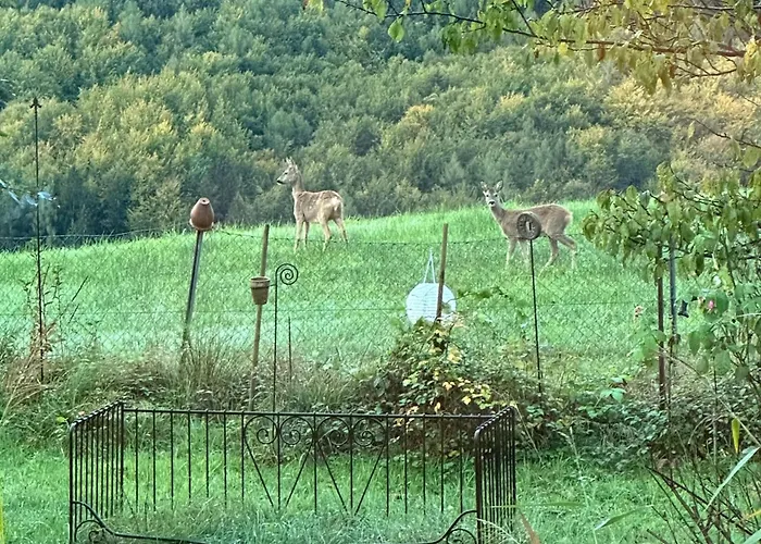 Attersee - Atemberaubende Lage - Bezauberndes Hideaway Unterach am Attersee