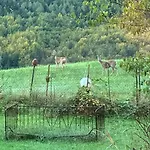 Attersee - Atemberaubende Lage - Bezauberndes Hideaway 운터라흐 암 아터제